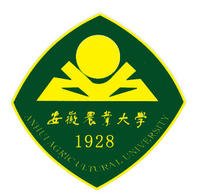 study in china